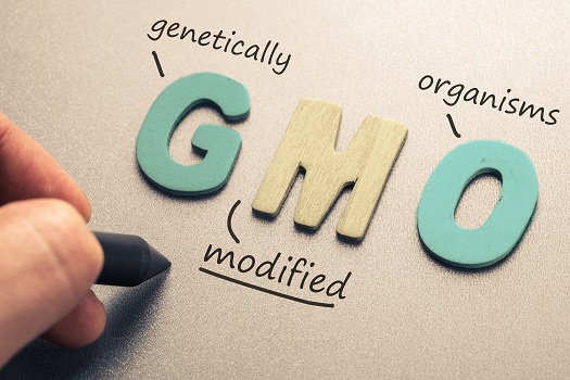 The Impact of GMOs After 65 in Huntsville, AL